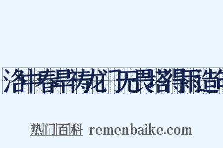 洛中春旱祷龙门无畏塔得雨造句是什么意思的图片